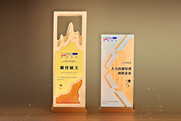 凯发k8官网国际一举斩获“2024年度中国区最佳雇主”等多项大奖