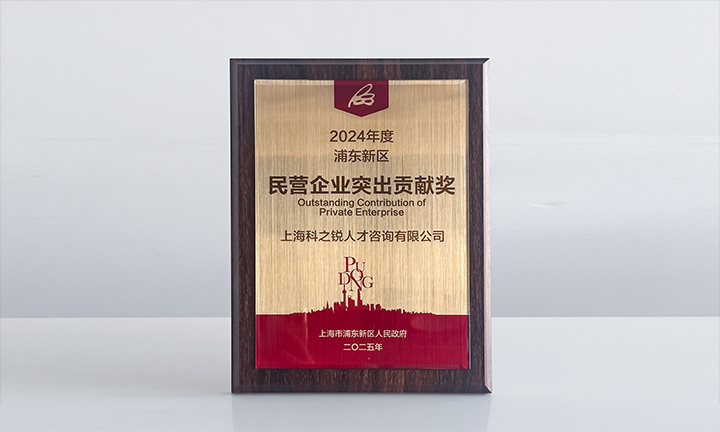 人力资源供应商凯发k8官网国际凭借人才服务与在区域经济开展中的卓越表现荣膺2024年度浦东新区民营企业奖项